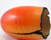 Caught In The Fire - Maple Pod