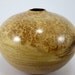 Black Locust Burl Hollow Vessel