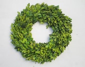Boxwood Wreath 12 Inch Round