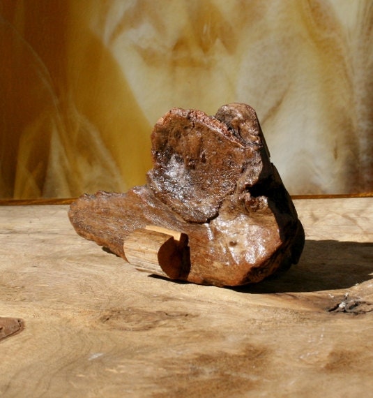 Picture Holder From Natural Driftwood