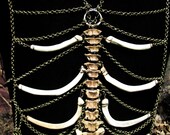 Ribcage and Bone Body Harness with Deer Ribs & Armadillo Vertebra