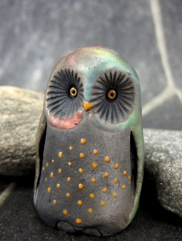 Copper Blue/Red Owl