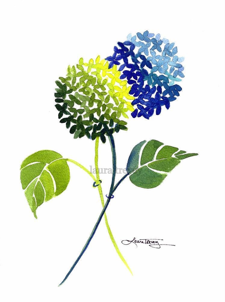 Blue and Green Hydrangea Print