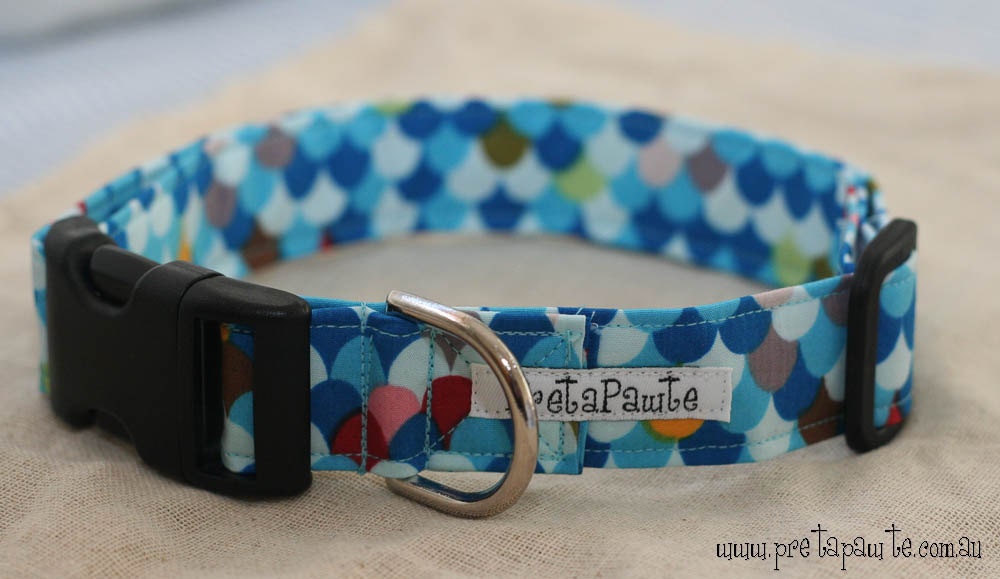 Dog Collar: Blue Scallop Dog Collar