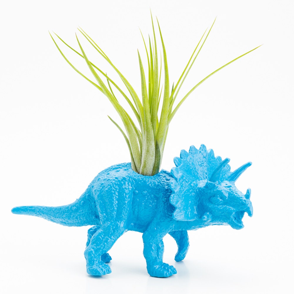 Small Dinosaur Planter with Air Plant Room Decor, College Dorm Decor, Re Purposed Toy