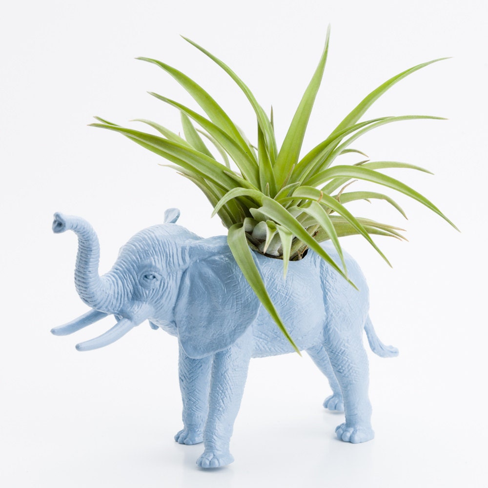 Elephant Planter with Air Plant Room Decor, College Dorm Ornament, Plants and Edibles, Blue Safari Animal