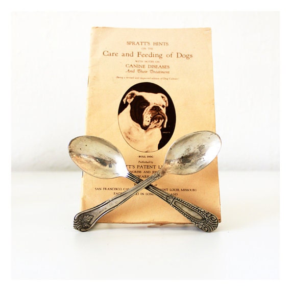 Vintage Spoons Napkin Stand Holder