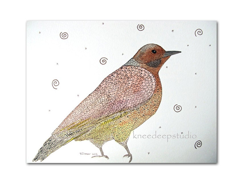Feathered Bird painting 12x16 watercolor pen and ink original fine art by Knee Deep Originals