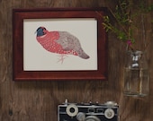 Pheasant 5x7 Print