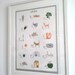 Alphabet Print - The Original Irish Alphabet - 18 Letters -  Illustrated Poster on Archival Paper A B C