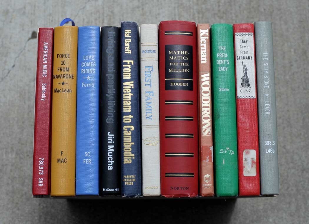 Love Comes Riding, Modern Library Storage Bin, Stylish Storage for your much-loved clutter