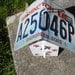WSU Cougar Birdhouse