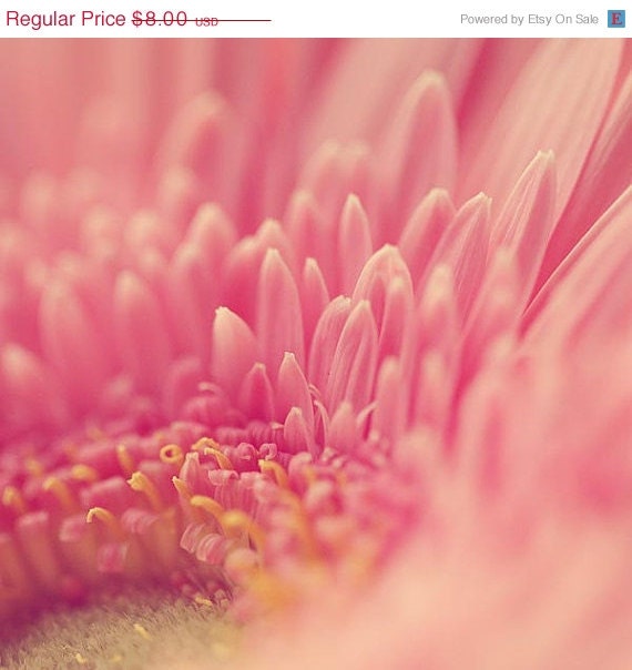 SALE Pink Flower Photograph - gerbera daisy nature yellow floral spring bloom pastel romantic garden gardener- 4x4