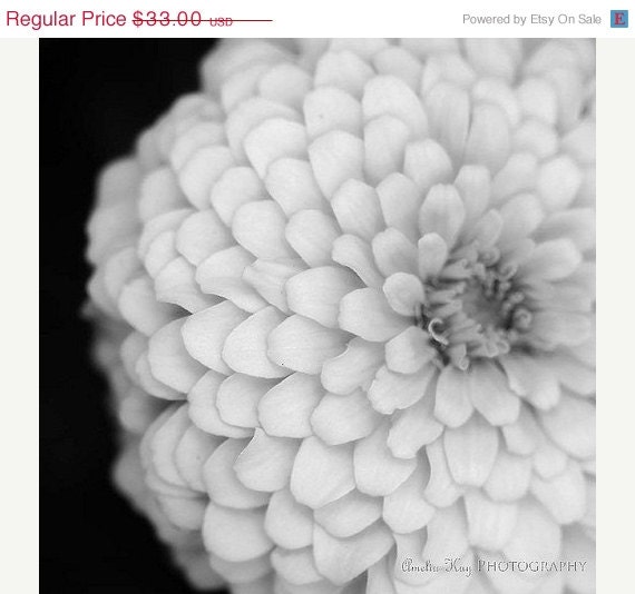 SALE Fine Art Fower Photograph - black white gray silver dark spring summer garden gardening floral romantic dreamy - Layers 10x10