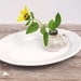 Antique White Ironstone Oval Platter - J and G Meakin Hanley England - 1890