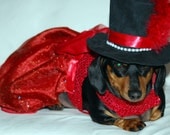 The Rare Ruby Dress as seen in the Movie Wiener Dog Nationals