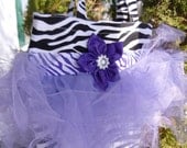 Zebra Stripe Tutu Bag with Purple Explosion Tulle