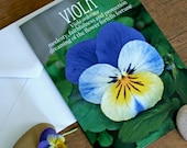 Pansy Viola note card Flower Folklore Myths and more