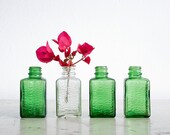 Antique Poison Bottles - Antrol Ant Killer - Industrial Decor