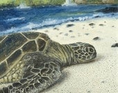 Turtle Art Print Big Island SEA TURTLE Sealife Wildlife Fine Art Giclee, Wall Decor Wall Art