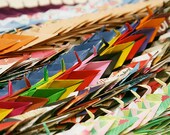 Custom order for Belinda - 250 assorted origami