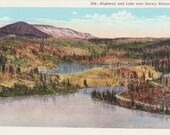 Vintage Wyoming Postcard - Snowy Range in Medicine Bow National Forest