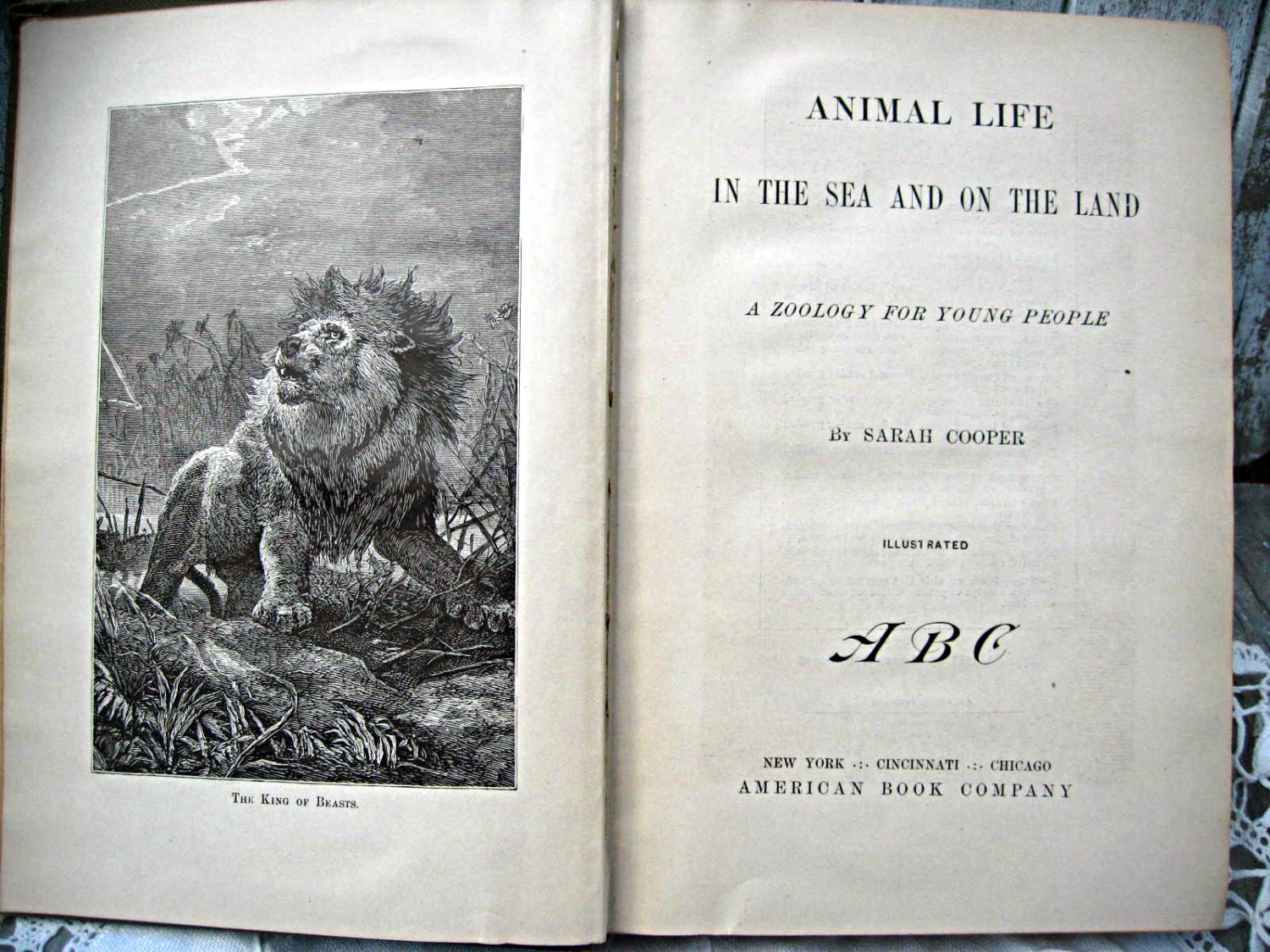 Antique zoology book for young people, illustrated, 1887, natural history of land and sea animals