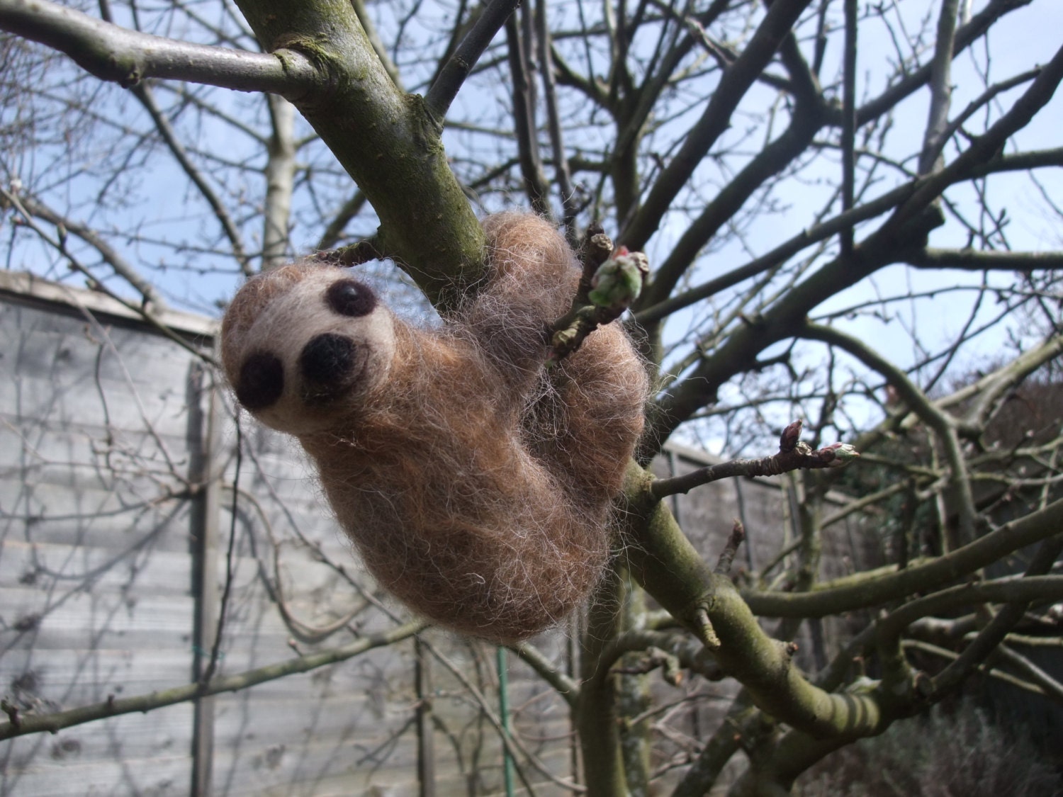 A handmade Needle felted miniature sloth