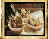 3 Spiced Forest Fire Starters, organic soy & beeswax tart melts - natural aromatherapy and kindling
