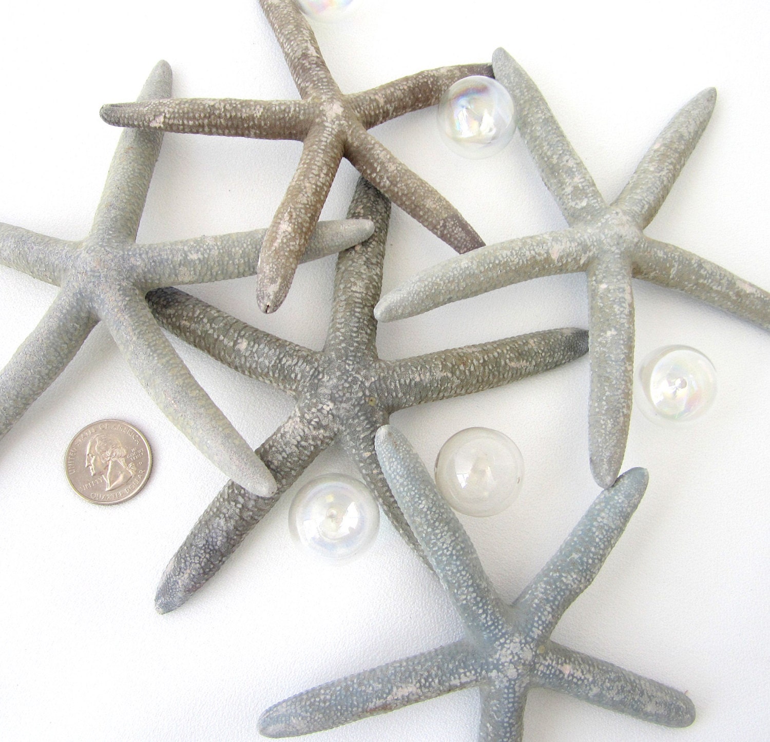 Beach Decor Blue Gray Finger Starfish - Nautical Starfish in Natural Grey Blue Color, 6pc, 4-6 inch