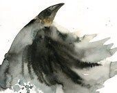 CROW Original watercolor painting 8x10inch (vertical orientation)