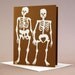 Love Skeletons, (set of six)