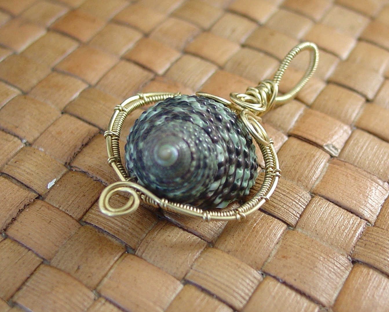 Sea Shell and Brass Wire Wrapped Pendant