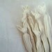 6 porcelain stirring spoons with rabbits