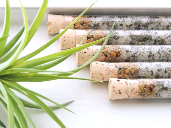 Organic & All Natural Chamomile Eucalyptus Herbal Bath Salt Test Tubes. (Thrive Bath Affirmations) Wedding, Spa, Luxury Gift Set