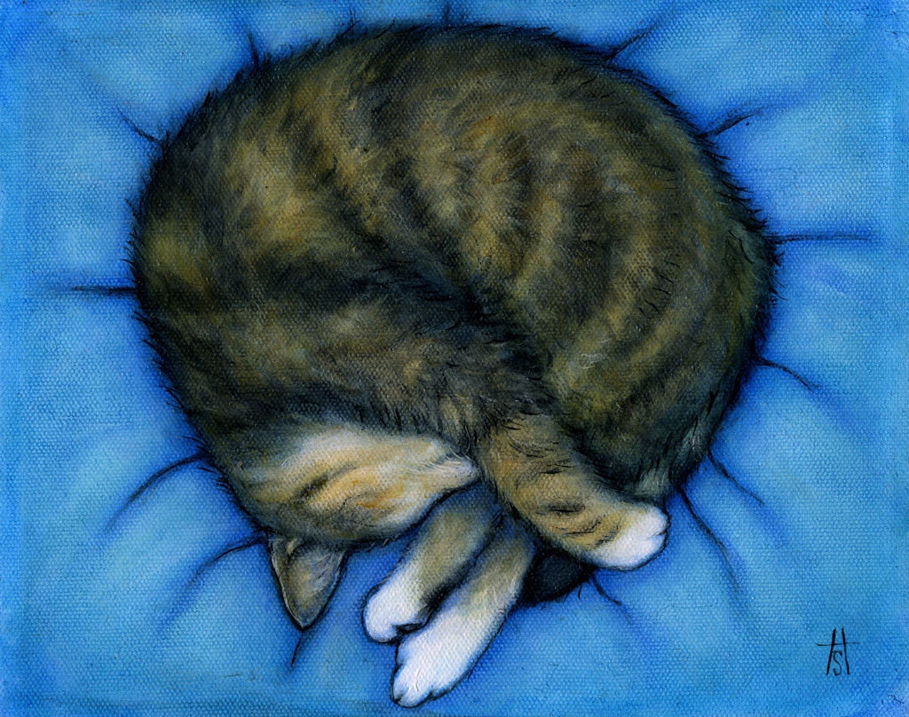 SALE   Angel. Tabby Cat art original oil painting by Heidi Shaulis