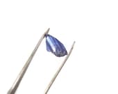 Rough Tanzanite, 5 Carats, Natural Crystal, Mineral, Gemstone Specimen, Reiki, Wire Wrapping or Jewelry Supplies, Gemmy & Iridescent