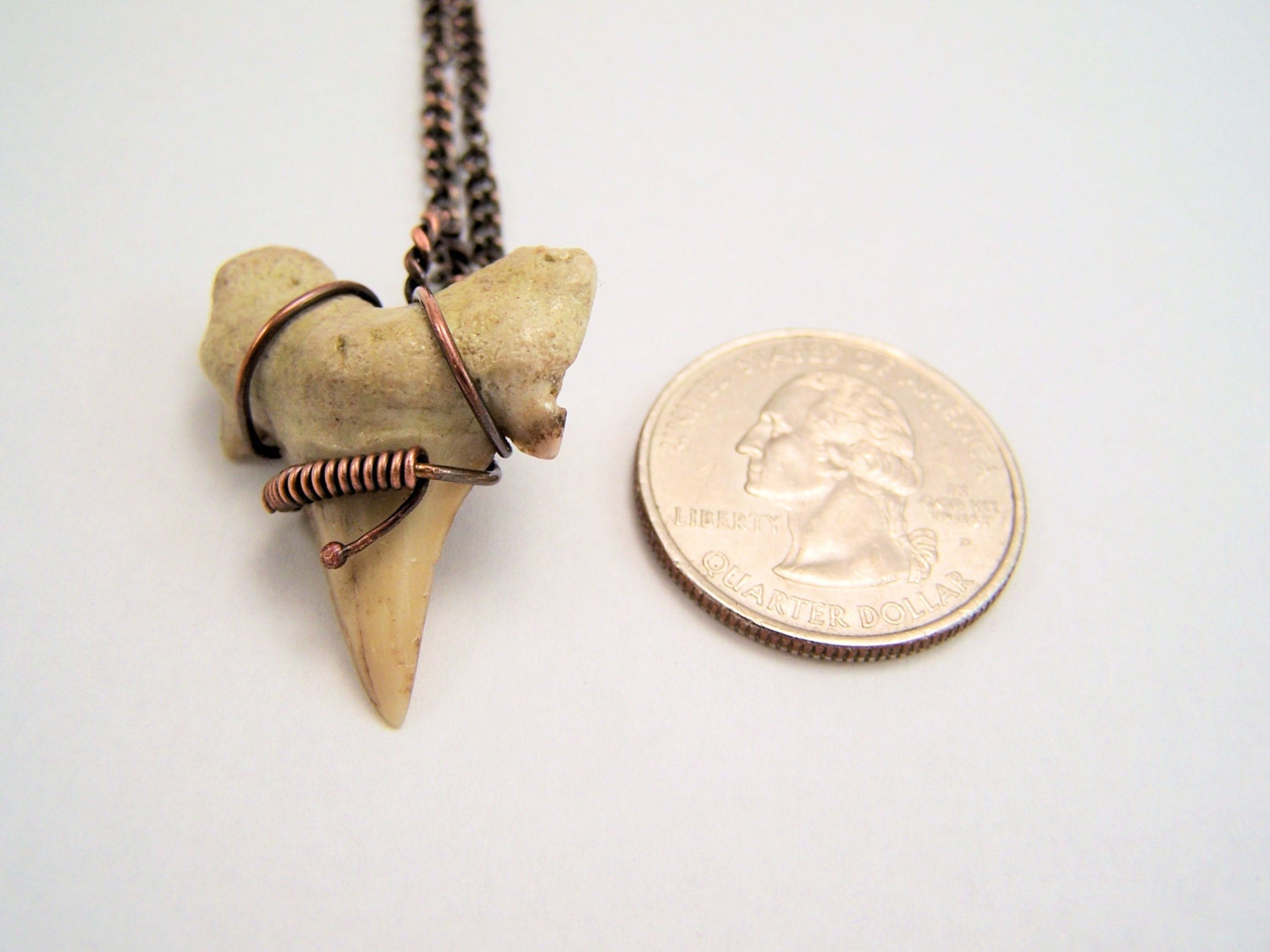 015 Shark Tooth Fossil Wire Wrapped Antique Copper Pendant