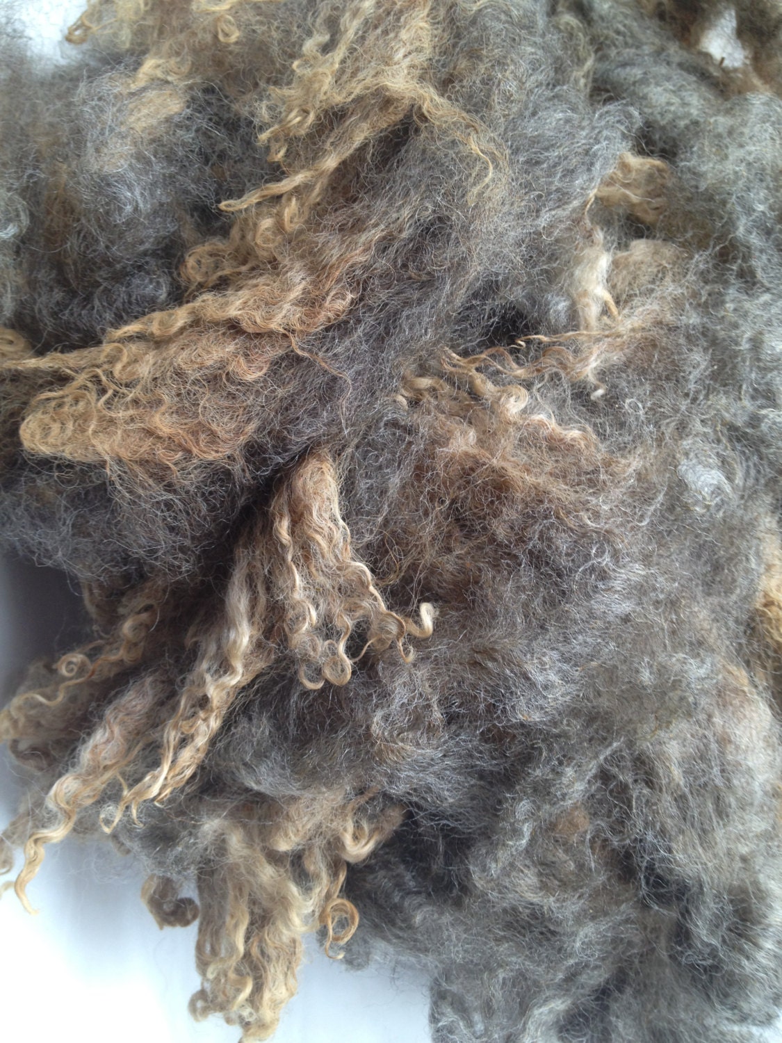Romney Raw Fleece (GREY) - Adult ewe - 4 ounces - (5 inch staple length) Spin/Felt/tailspin/doll hair/dye