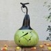 Halloween Gourd Witch Natural Fall Harvest Spooky Pumpkin Decoration