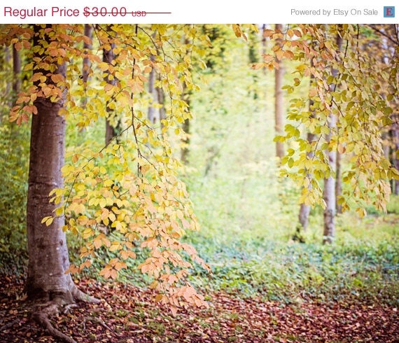 ON SALE Nature Photography, Dreamy Woodland Forest Tree Art Print, Autumn Fine Art Photograph, Orange - Hush (8x10)