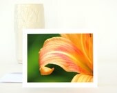 Floral Photography Note Card Daylily Flower Petal, peachy pink orange green nature photo all occasion stationery blank notecard