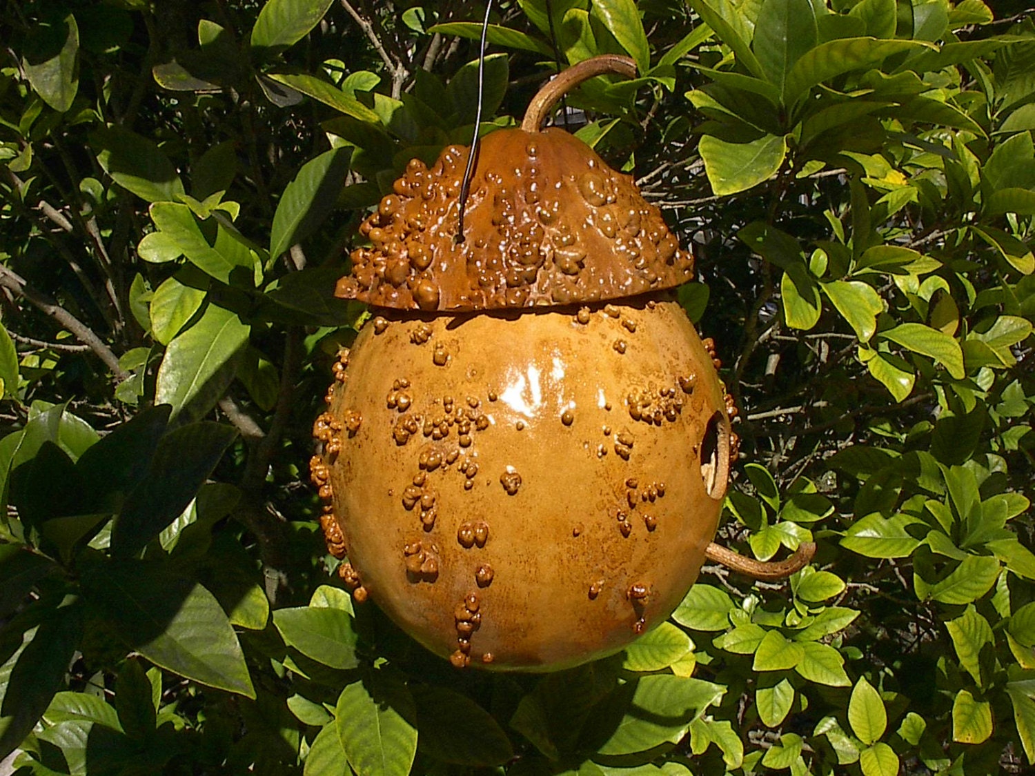 Wrens Birdhouse Gourd Gnome Fairy Home