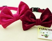 Special Event Bow Tie Collar For Cats and Small Dogs