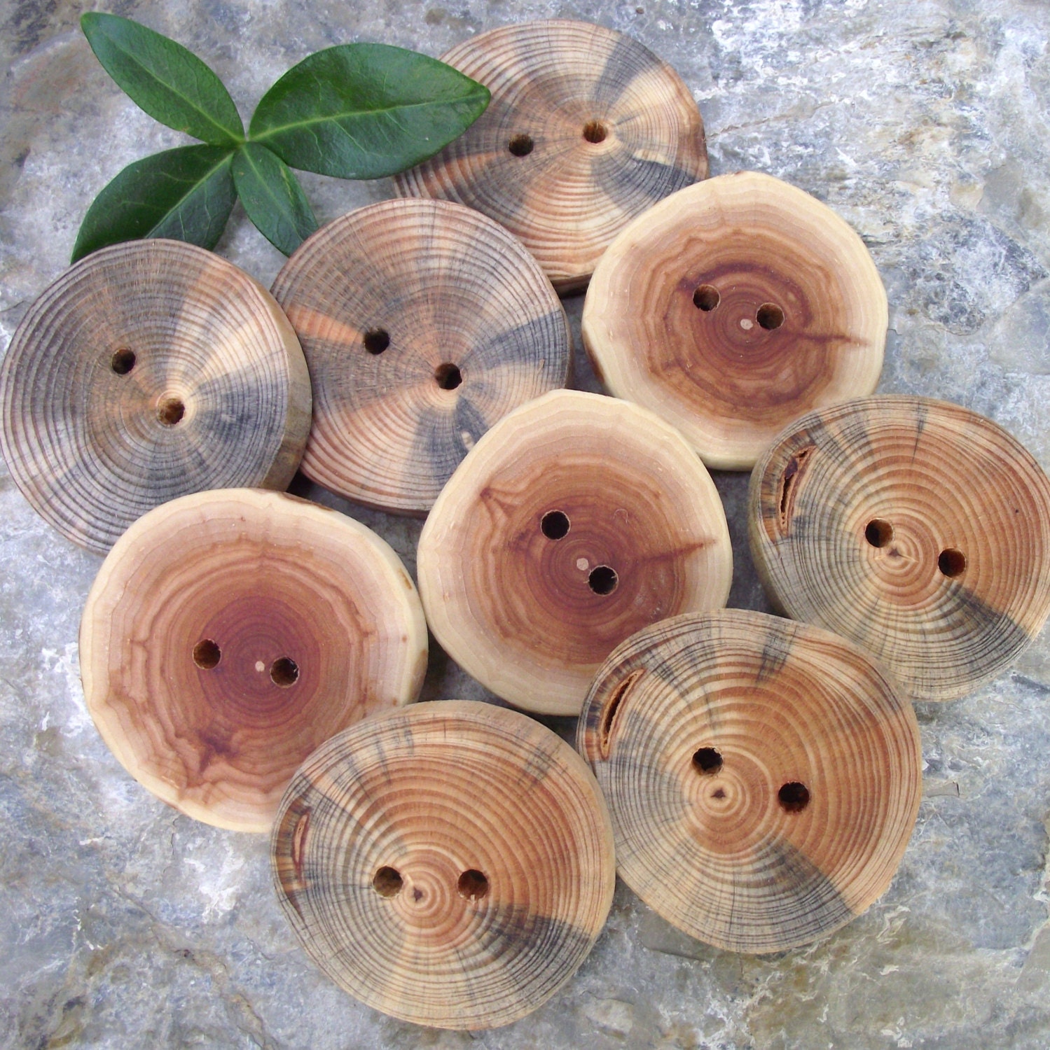 Wood Buttons - Amazing Wooden Ohio Tree Branch Button Assortment - Great for Journals, Pillows, Handbags, Crochet, Knitting and Sewing