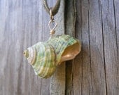Mermaid Shell Beach Pendant Necklace Ariel Seafoam green