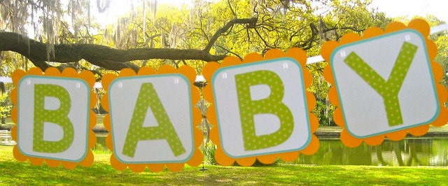 Oh Baby Banner