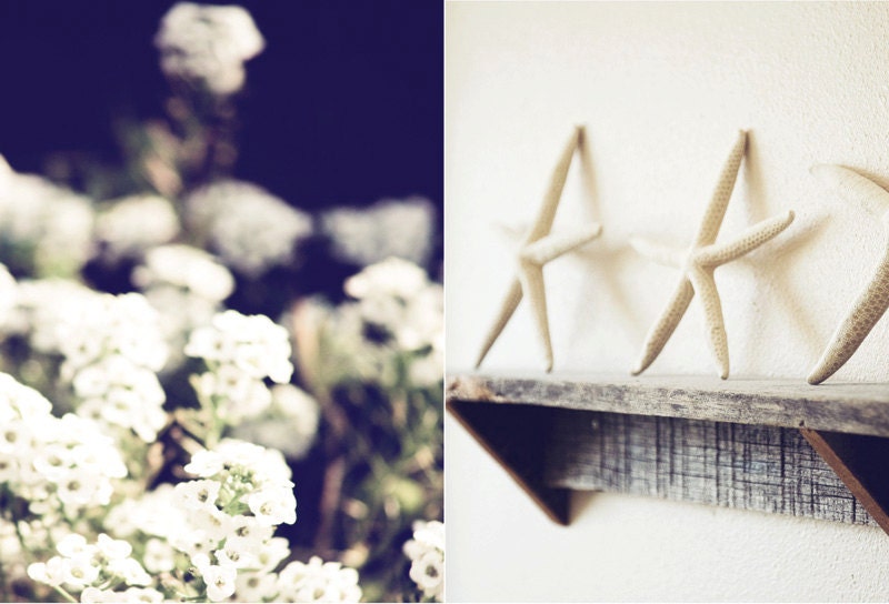 whispers of white (one dozen postcards)