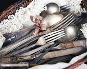 vintage silver (one dozen postcards)