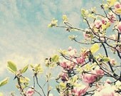 Waiting for Spring